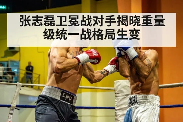 heavyweight boxing match